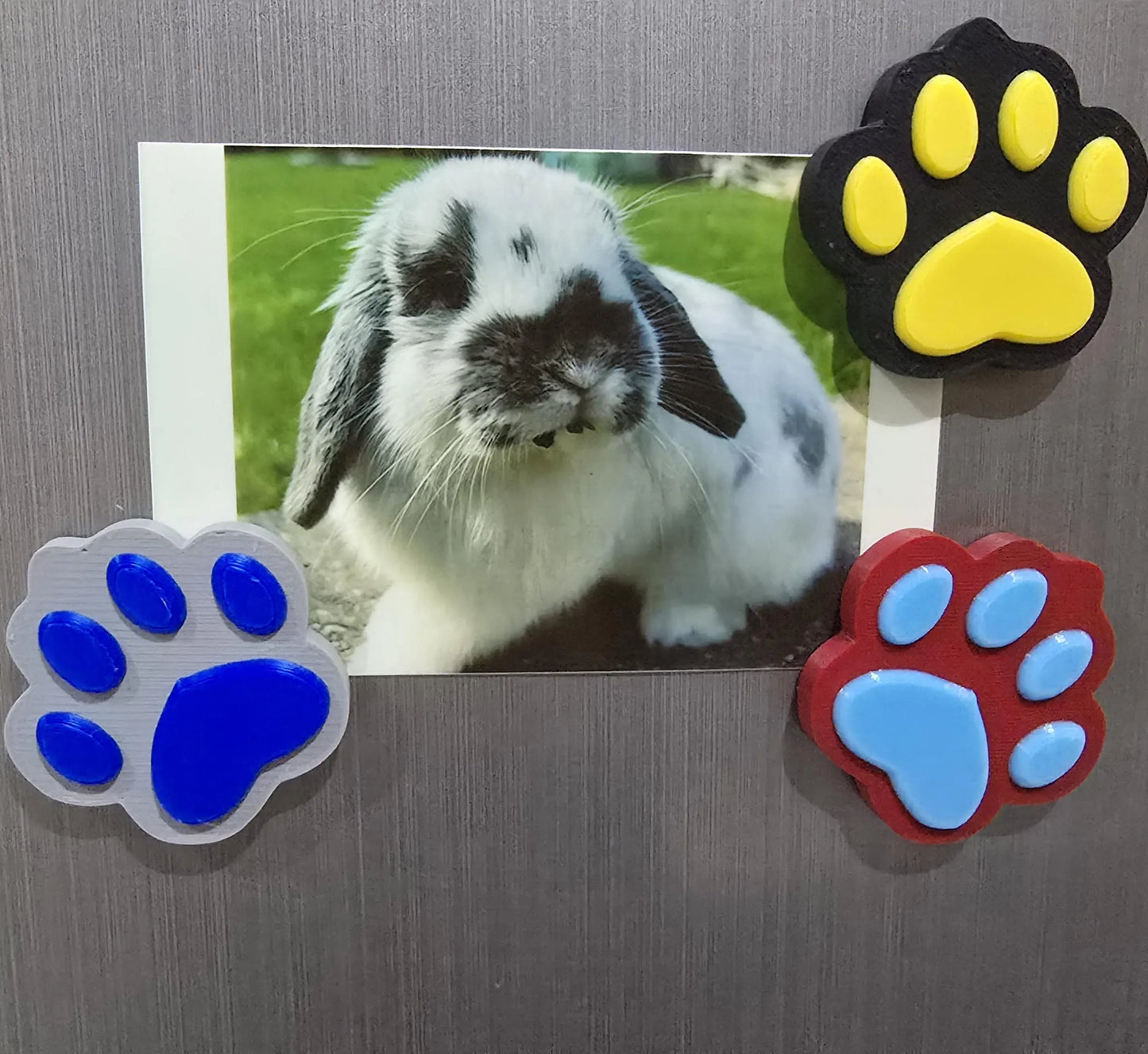 3D Printed Paw Print Magnet | Dog Paw Fridge Magnet | Pet Lover Gift | Dog Mom Gift | Animal Lover Decor